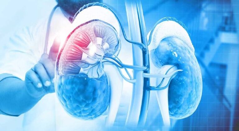 Nephrology11